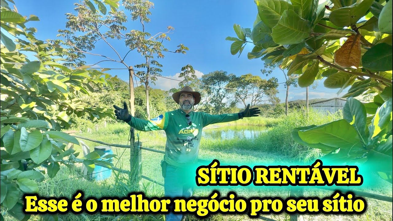 COMO DESCOBRI O MELHOR NEGÓCIO PRA SÍTIO. 