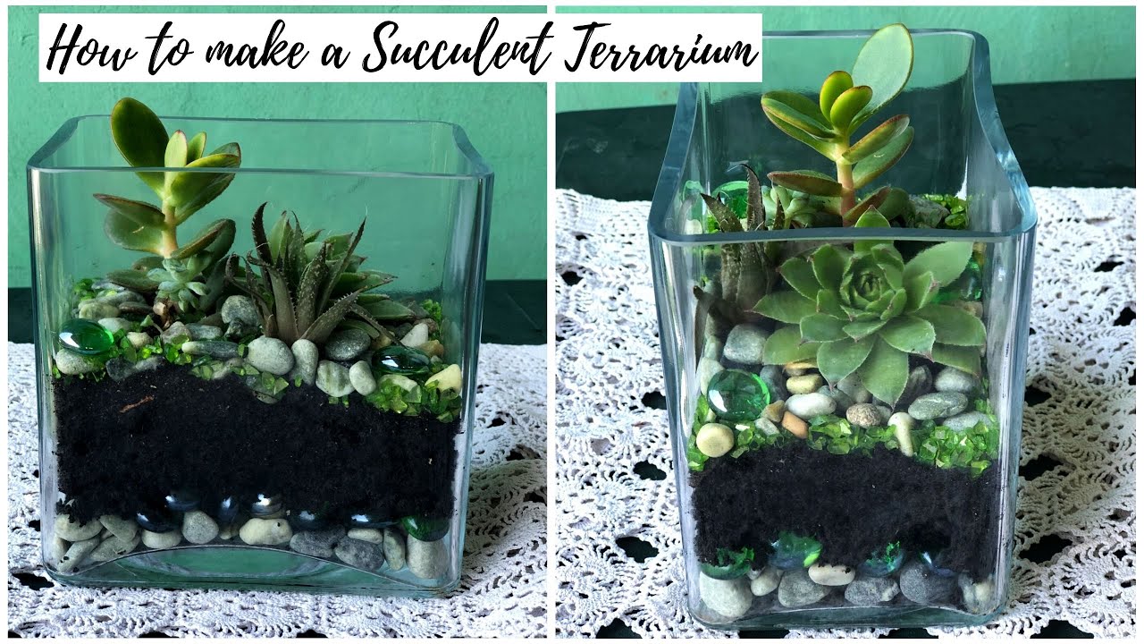 How to Make A Simple Succulent Terrarium | How to Make A Terrarium | Sukulenti