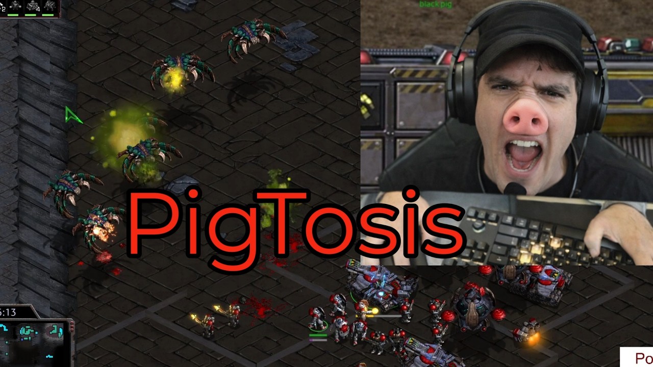 Artosis Starts to Squeal like a Pig