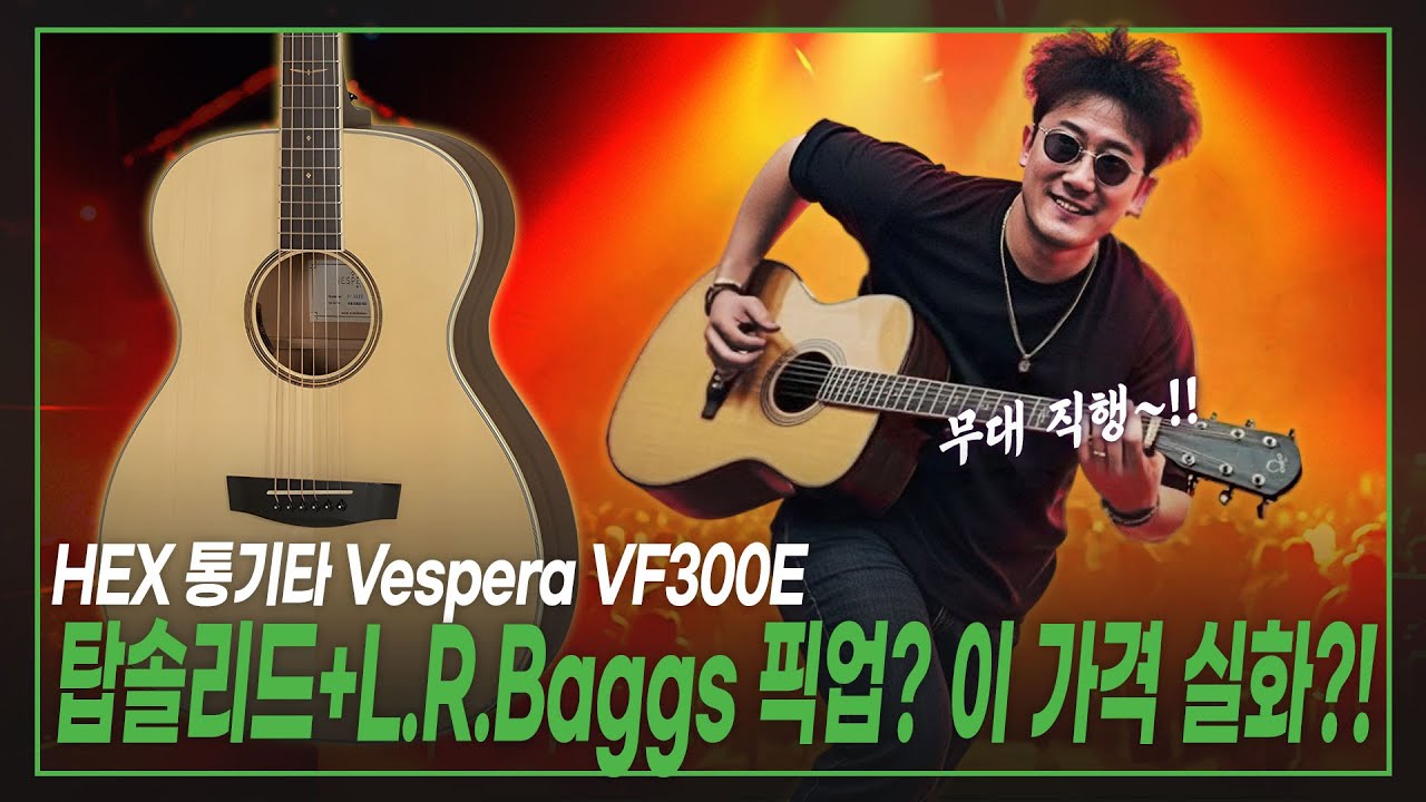🪵Звукозаряды L.R.Baggs на цельной деке? Реальная ли эта цена?!🤑Акустическая гитара HEX HEX Vesper...