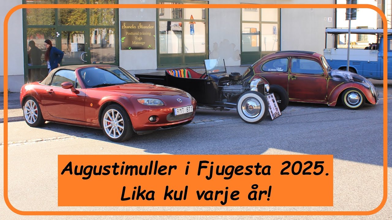 Augustimuller i Fjugesta 2025