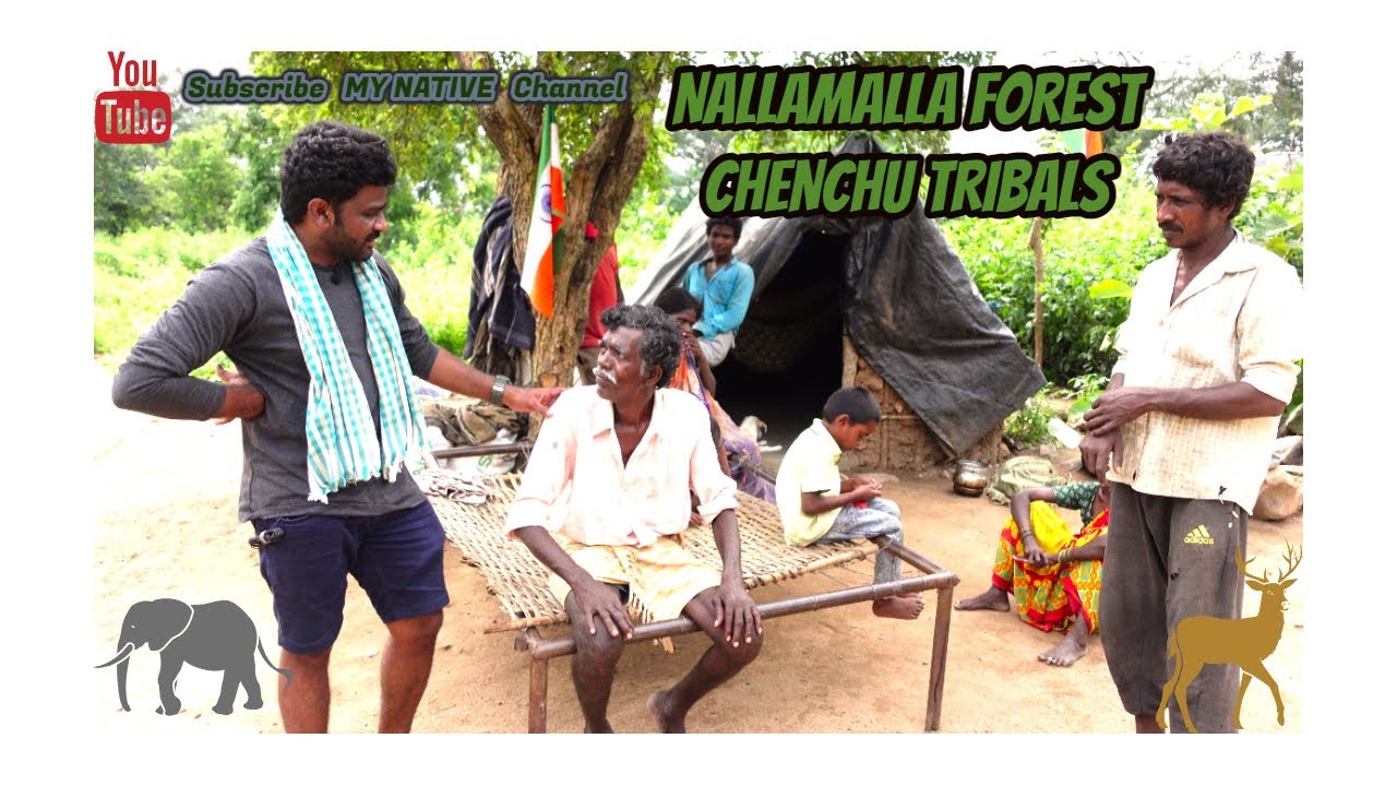Chenchu Tribals (Amrabad Tiger Reserve; Nallamalla Forest)