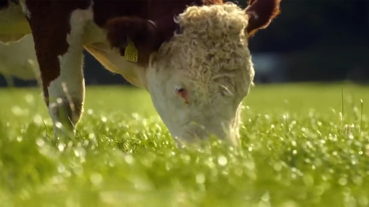 De Grass Fed Standard van Bord Bia