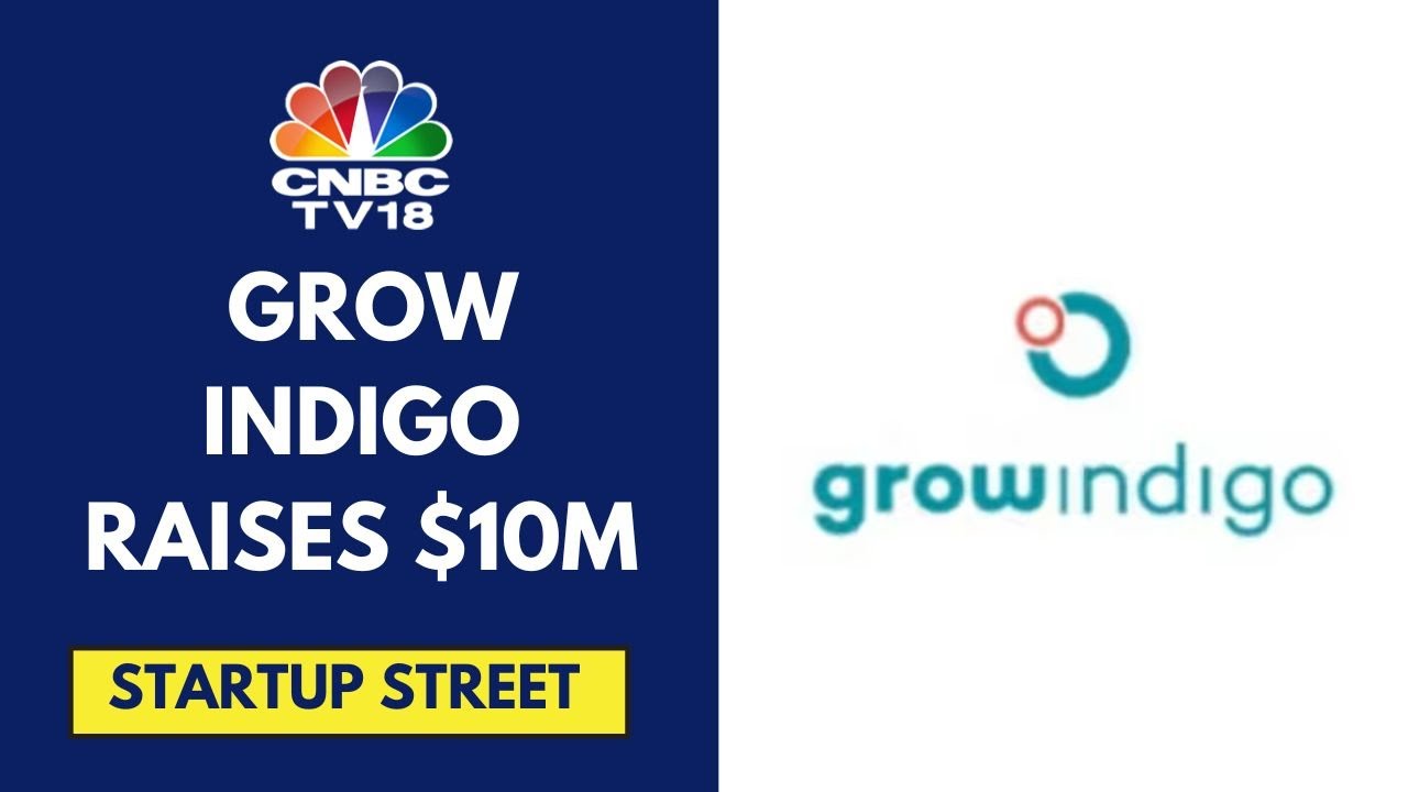 Агростартап Grow Indigo Bags привлек 10 миллионов долларов.