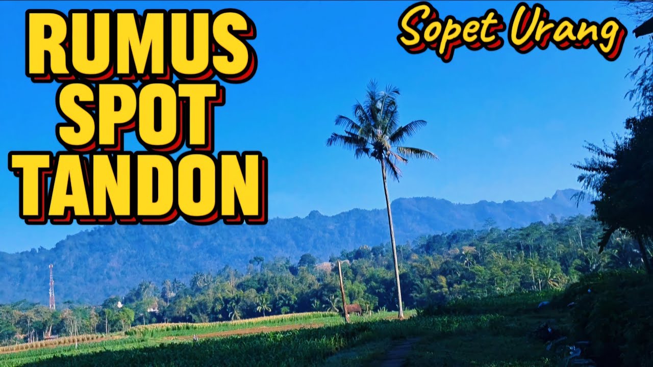 RUTE SPOT TANDON SOPET URANG !! Terkenal Dengan Sarang Ikan Nila Babon // Waduk Selorejo Ngantang