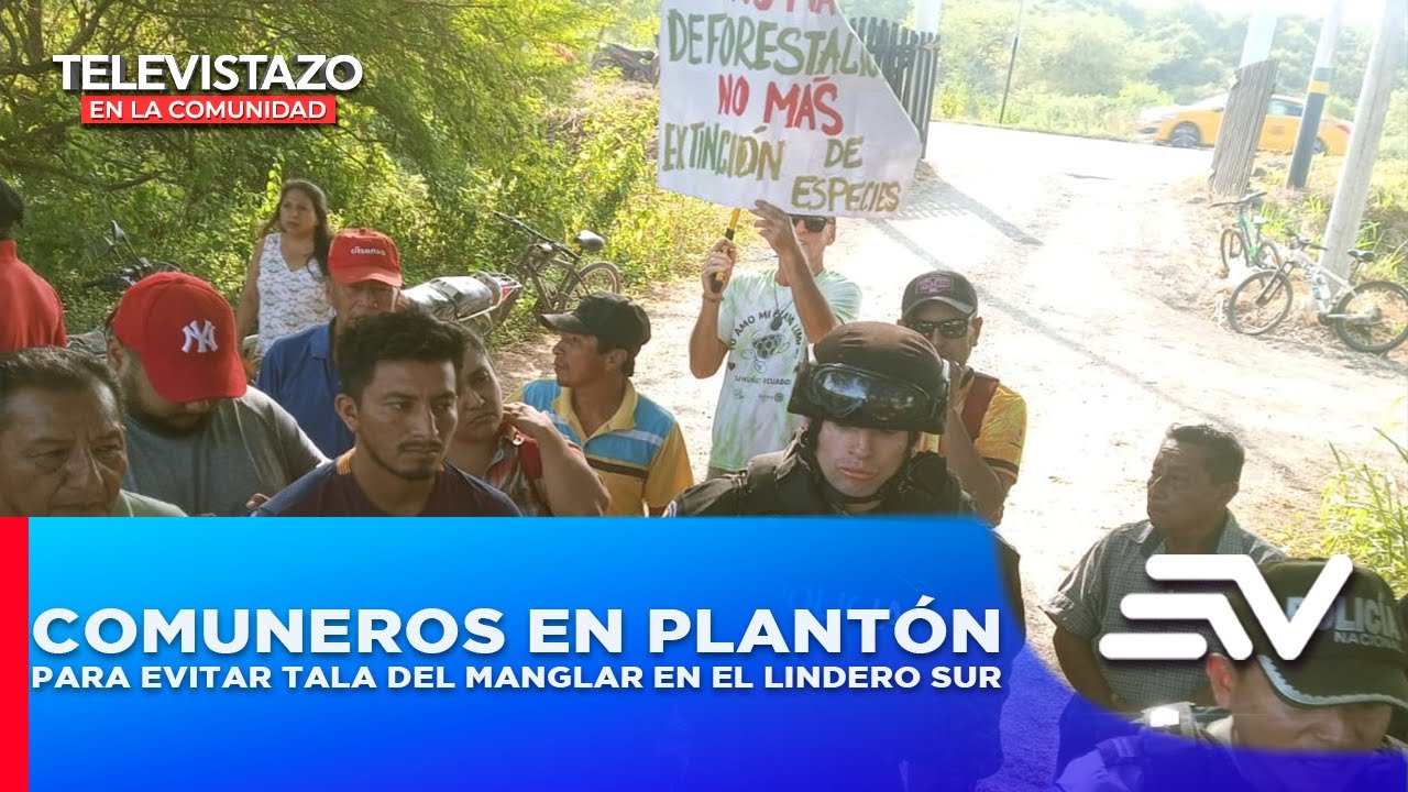 Comuneros en plantón para evitar tala del manglar en el lindero sur  | Televistazo en la Comunidad