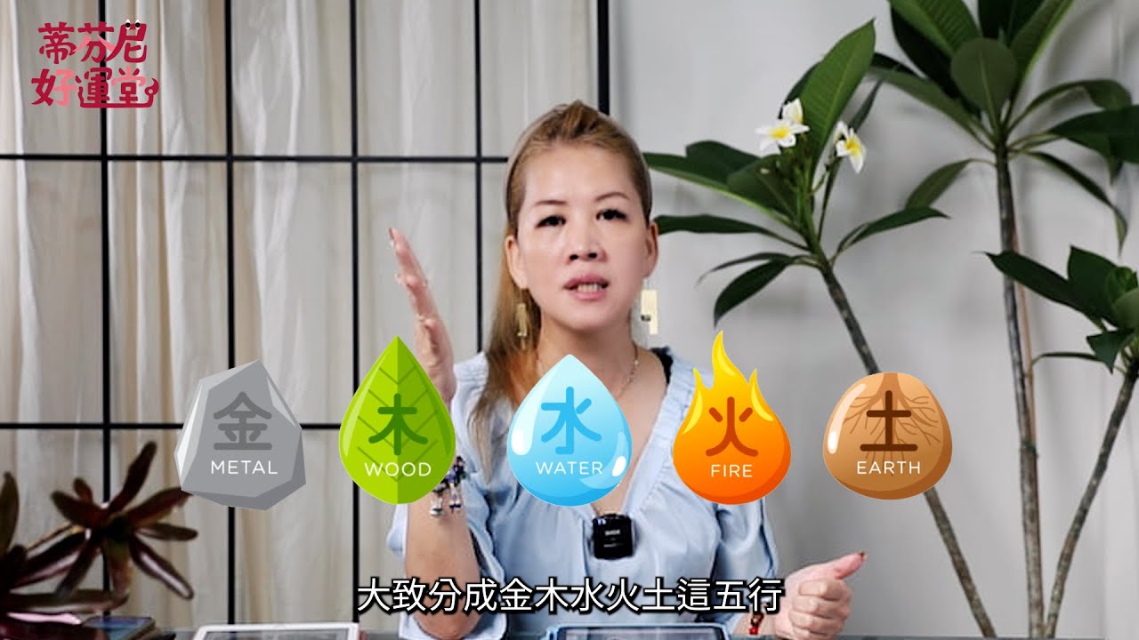 面相學ep13 五行面相，金木水火土你是哪種人？｜教你一秒辨識，建議收藏！｜蒂芬妮好運堂