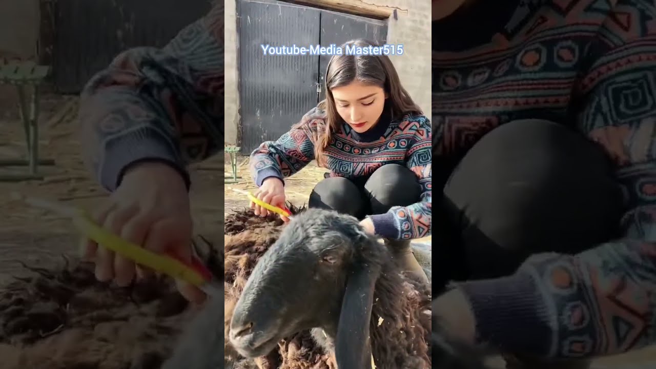 Uyghur kızı Gül’ün hayatı 45/Жизнь уйгурской девушки Гюль 45/Uyghur girl Gül's life 45