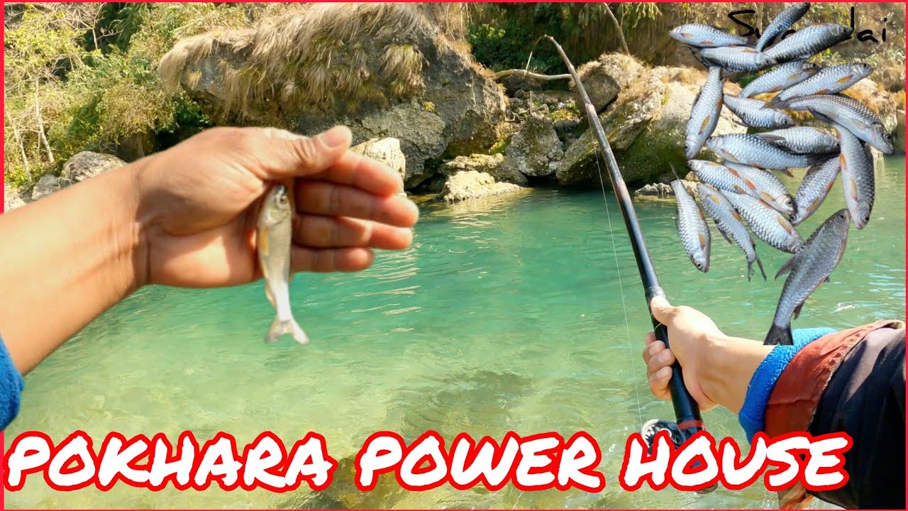 Fishing Pokhara Power House Amazing Spot Fishing 🎣 Fishing Nepal 🇳🇵