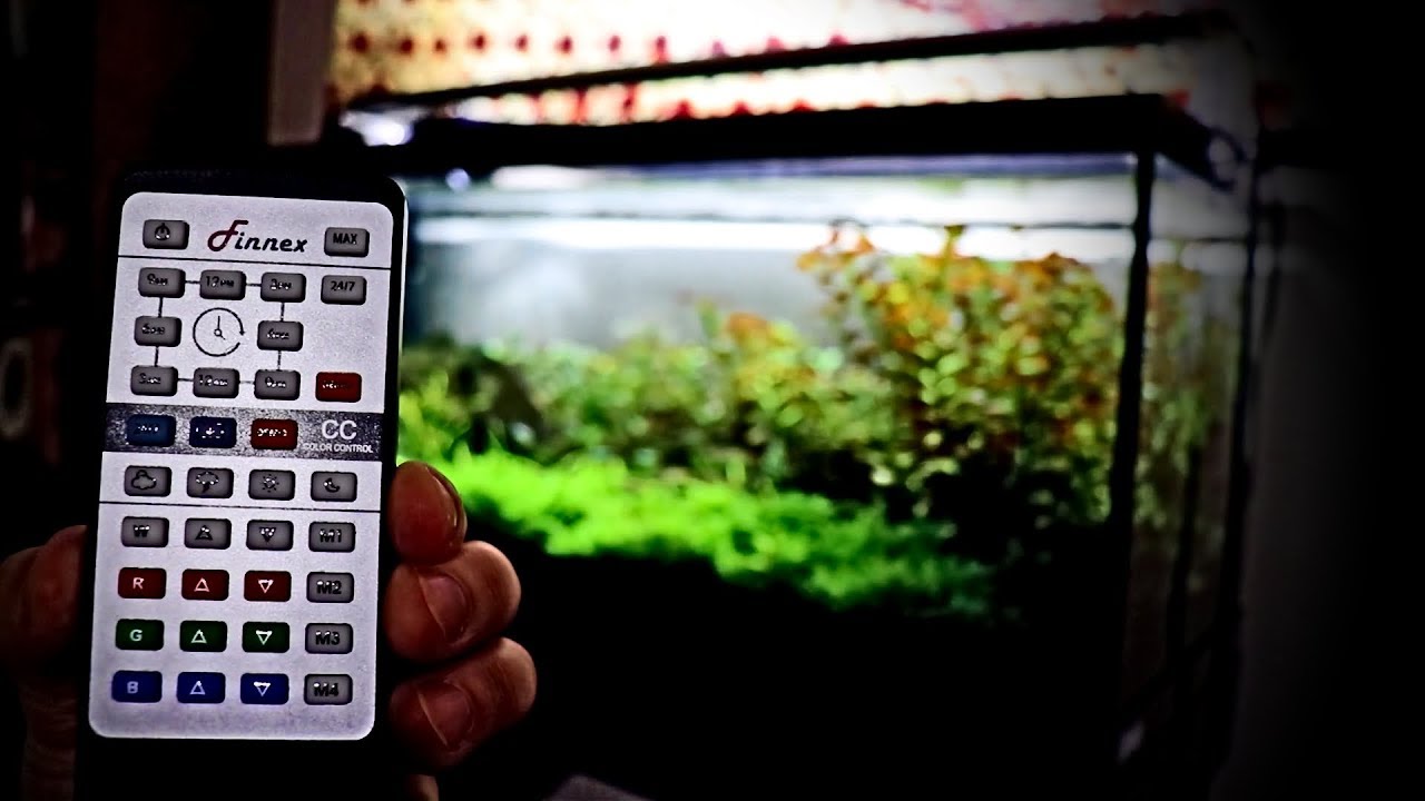 Finnex Planted+ 24/7 CC Review!
