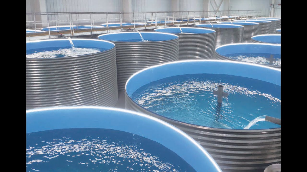 Big RAS Project of China Hishing Company