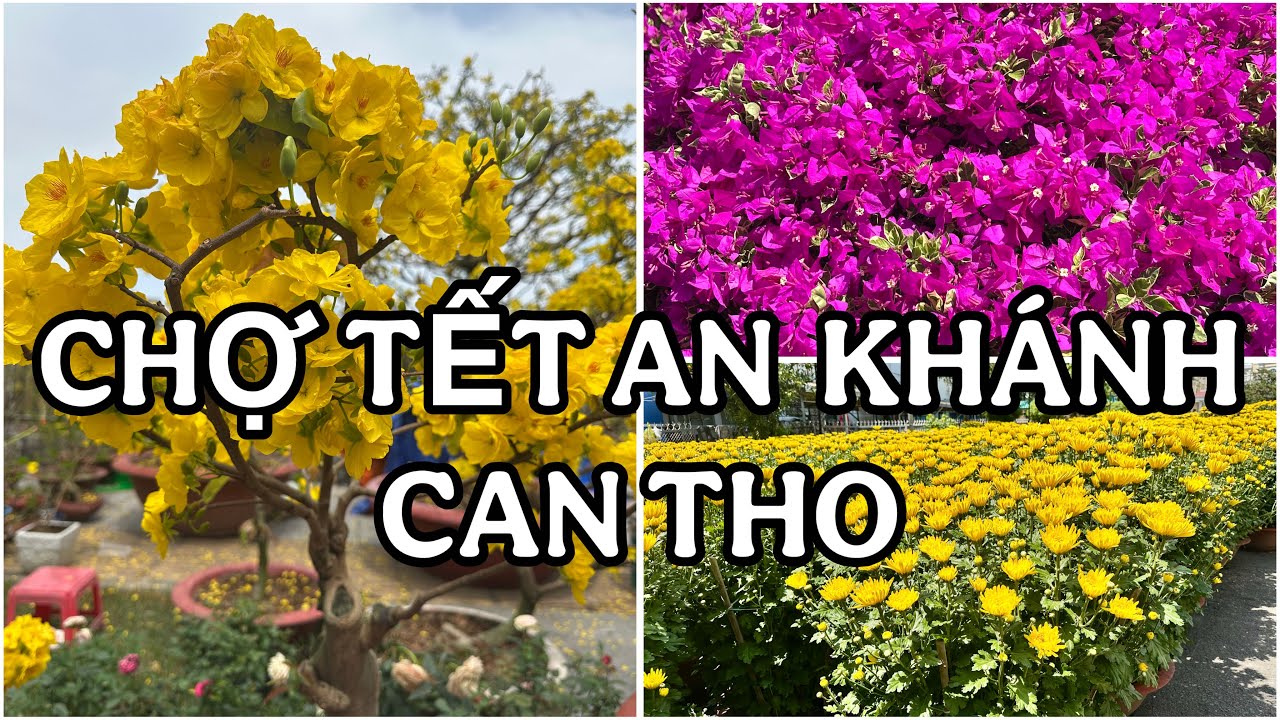 27 TET CAN THO, CHỢ TẾT AN KHÁNH HÀNG HÓA ĐỦ LOẠI🌺NGÀY 14/2/2026🌺cần thơ ký sự