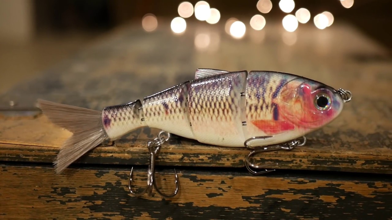 $8 Swimbait Vs $26 Swimbait