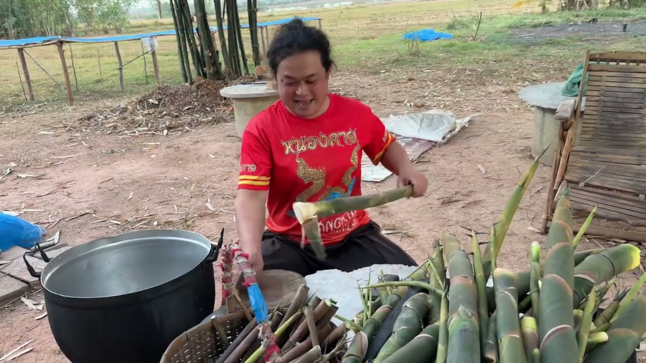 หน่อไม้สายพันธุ์นี้ออกได้ทั้งปีจริงๆและแต่ละรอบก็เยอะสุดๆ