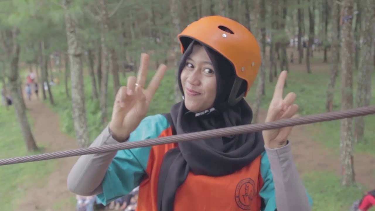 Wisata Pinus Songgon Banyuwangi