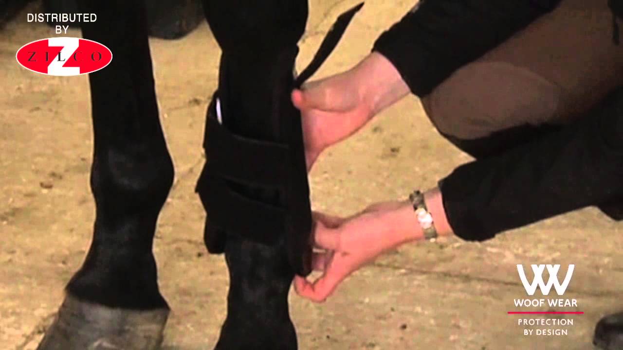 Woof Wear Smart Tendon Boot Zilco