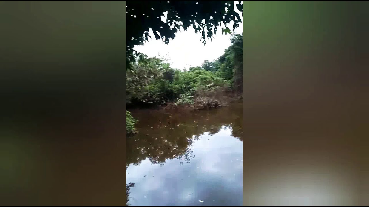 TRAIRA NA ISCA ARTIFICIAL POPPER