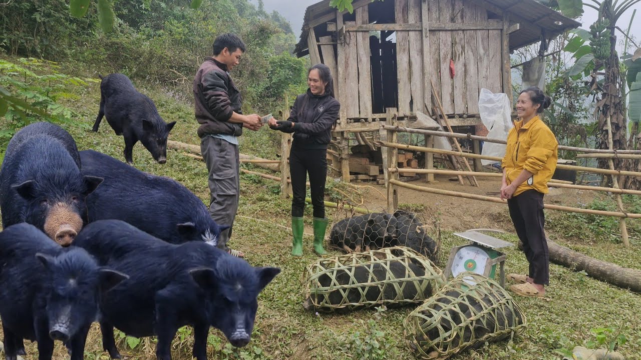 I buy pigs in bulk from the villagers and resell them to traders for a profit.