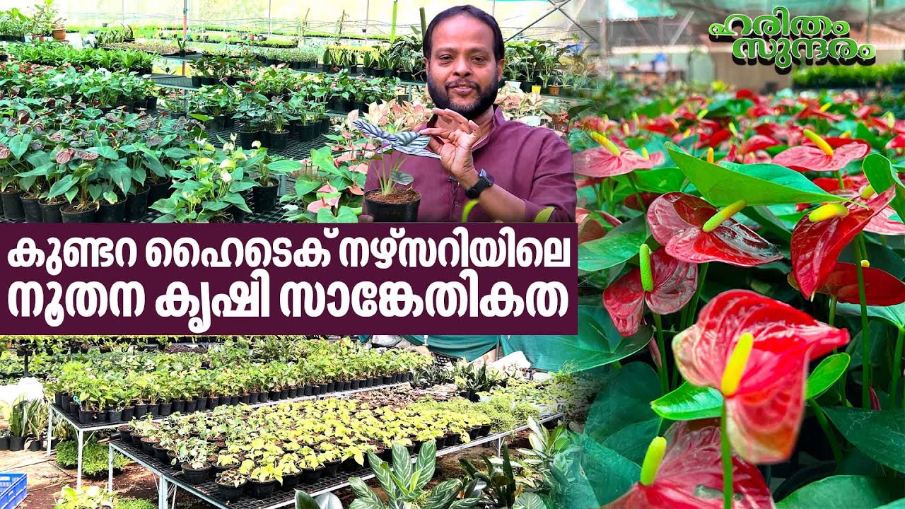 Advanced farming techniques at Kundara Hi-Tech Plant Nursery | Haritham Sundaram EP 416