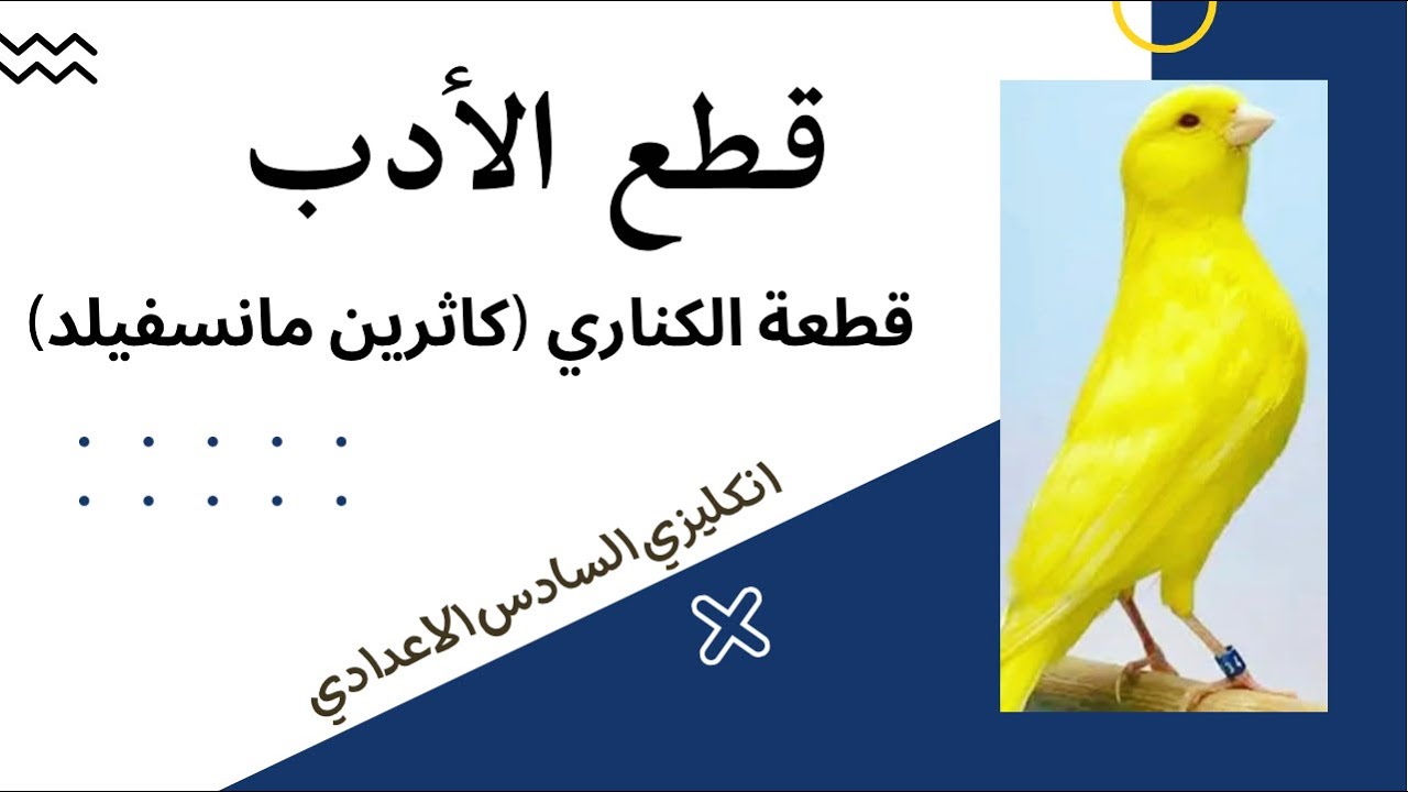 الاسئلة الوزارية المتكررة في الادب / اسئلة حول الكناري