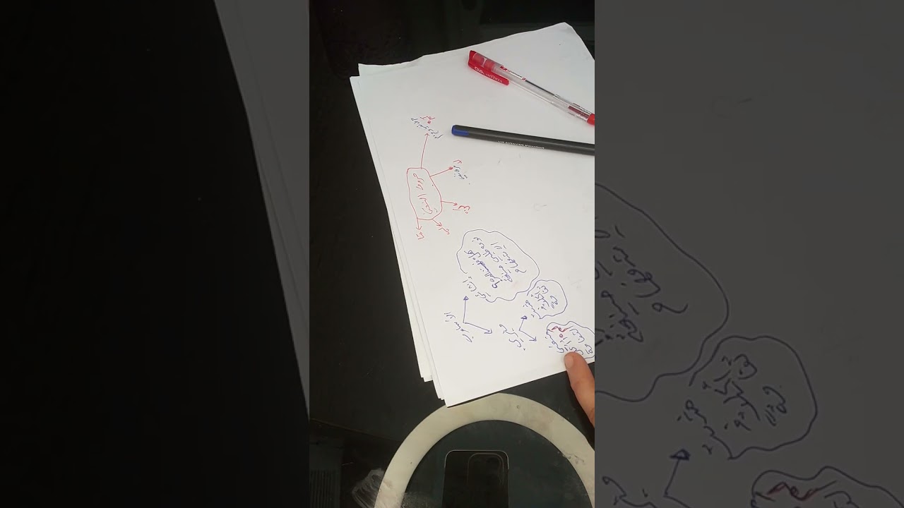 حروف النفي للسنة2