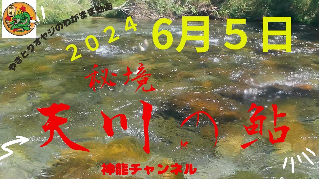6月５日天川 の鮎釣り
