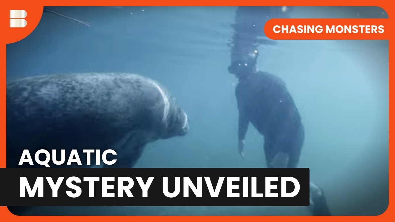 Mystery Creature Wake - Chasing Monsters - S03 EP05 - Nature & Adventure Documentary