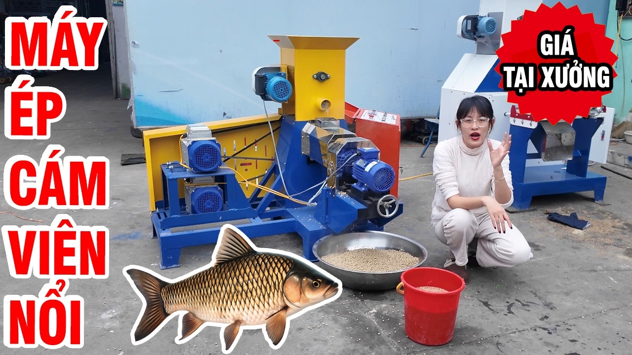 🔥 Máy Ép Cám Viên Nổi 40K 1 Pha 🐟 Cám Nổi – Chìm Đều Được 🎁 Tặng Quà Triệu Đồng!