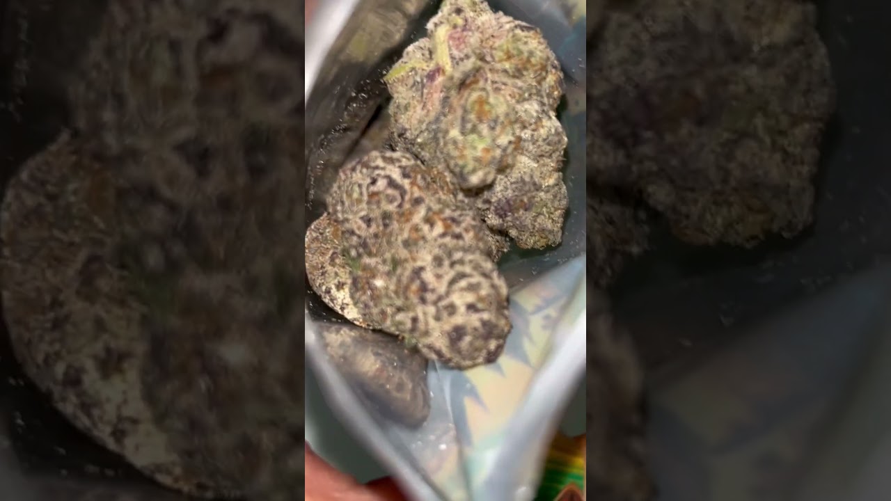 Indoor Superboof 1/4 | THCA King Review #THCA #THCAKing  #THCAReview #CannabisCommunity