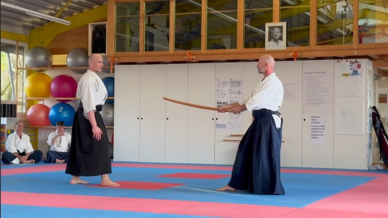 Aikido Nidantest Iwama-ryu im M&auml;rz 2025
