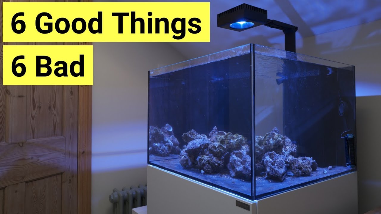 Waterbox Aquariums User's Review