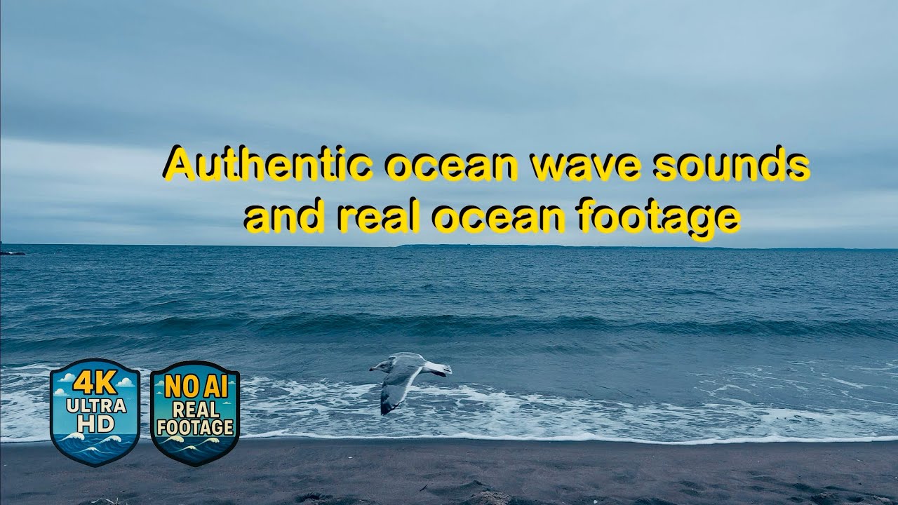 4K. 4 Hours of Real Ocean Waves . Natural Ocean Sounds & Endless Sea View | No AI | Relax, Sleep, 