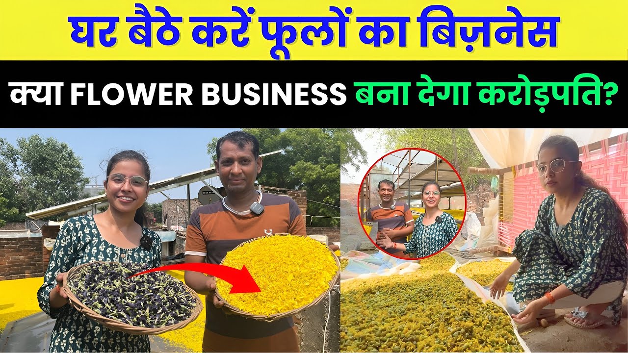 घर बैठे करें फूलों का बिज़नेस | Dry Flower Business बना देगा करोड़पति | Income by Solar dryer