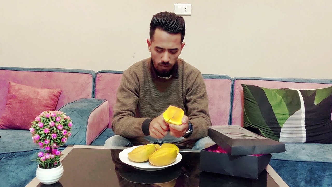 مانجو تنتج طوال العام | تذوق مانجو صنف القراط الإماراتي | مواصفات الطعم و الرائحه و اللون 🥭