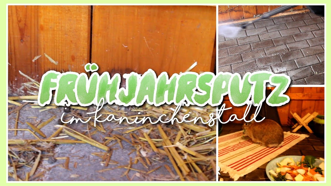 FRÜHJAHRSPUTZ bei den Kaninchen 💪🐰☀️ // Meine Mümmler