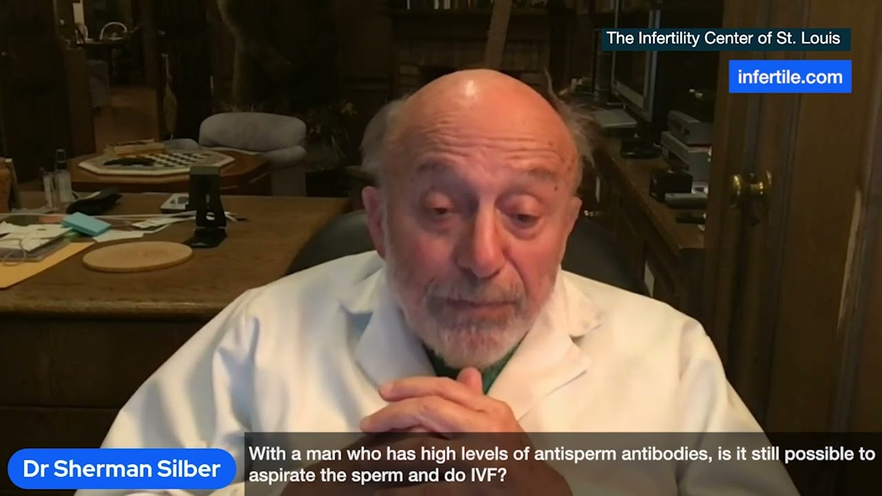 Dr. Silber Nov 22 With high levels of Antisperm antibodies it still possible to do IVF?