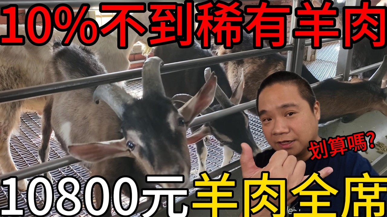 驚為天人!百大名廚料理-羊肉全席!超過十吃丨哇!全牧場都被割蛋蛋，羊隻屠宰最後一哩路神秘的羊隻拍賣