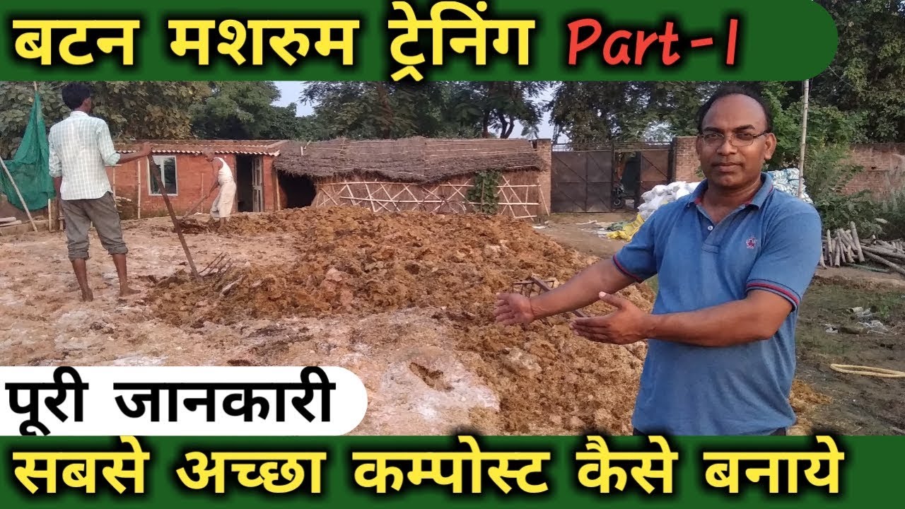 Button muahroom compost preparation | Button Mushroom ki kheti ki jankari | Training | AGRIL CAREER