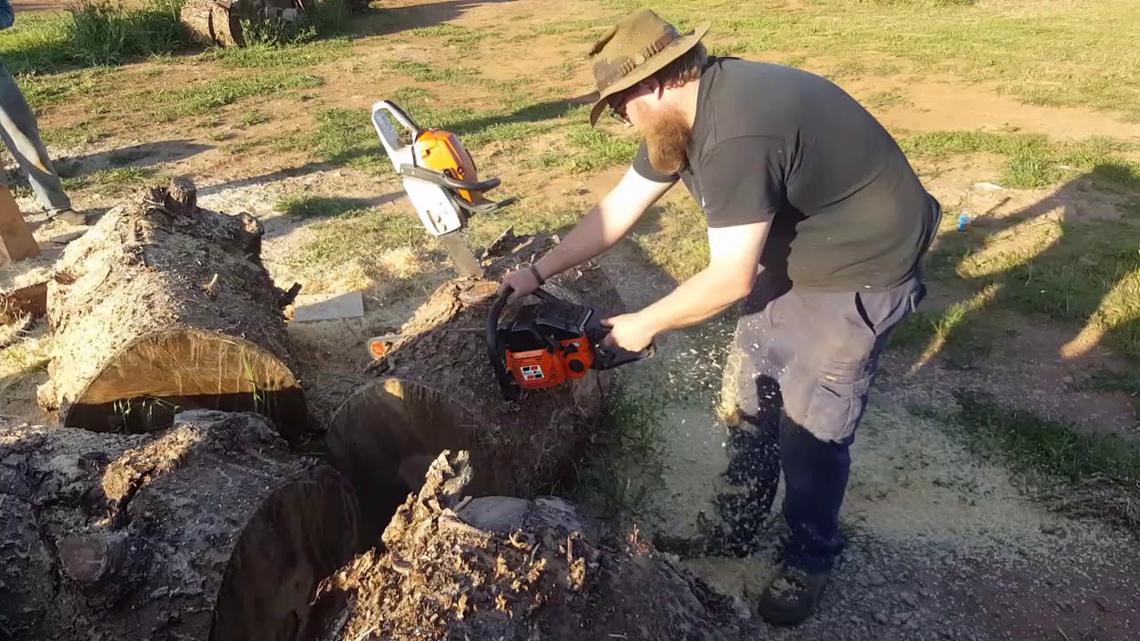 Sorry homelite super XL the Oleo mac 264 stole your bar and chain 😂