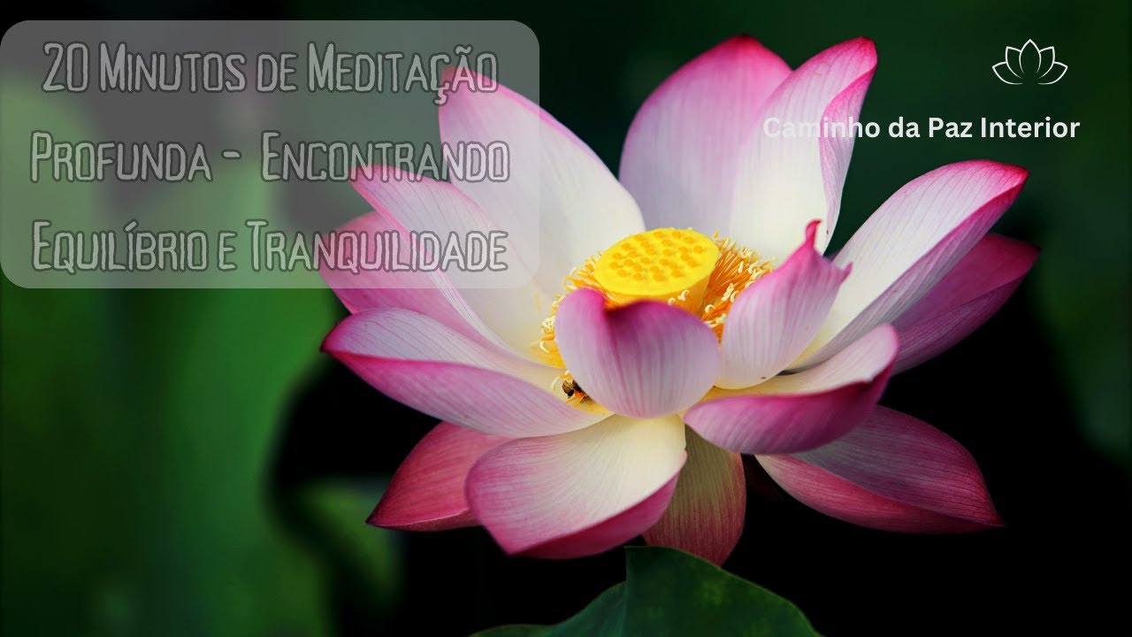 20 Minutos de Medita&ccedil;&atilde;o Profunda - Medita&ccedil;&atilde;o Consciente: Encontrando Equil&iacute;brio e Tranquilidade