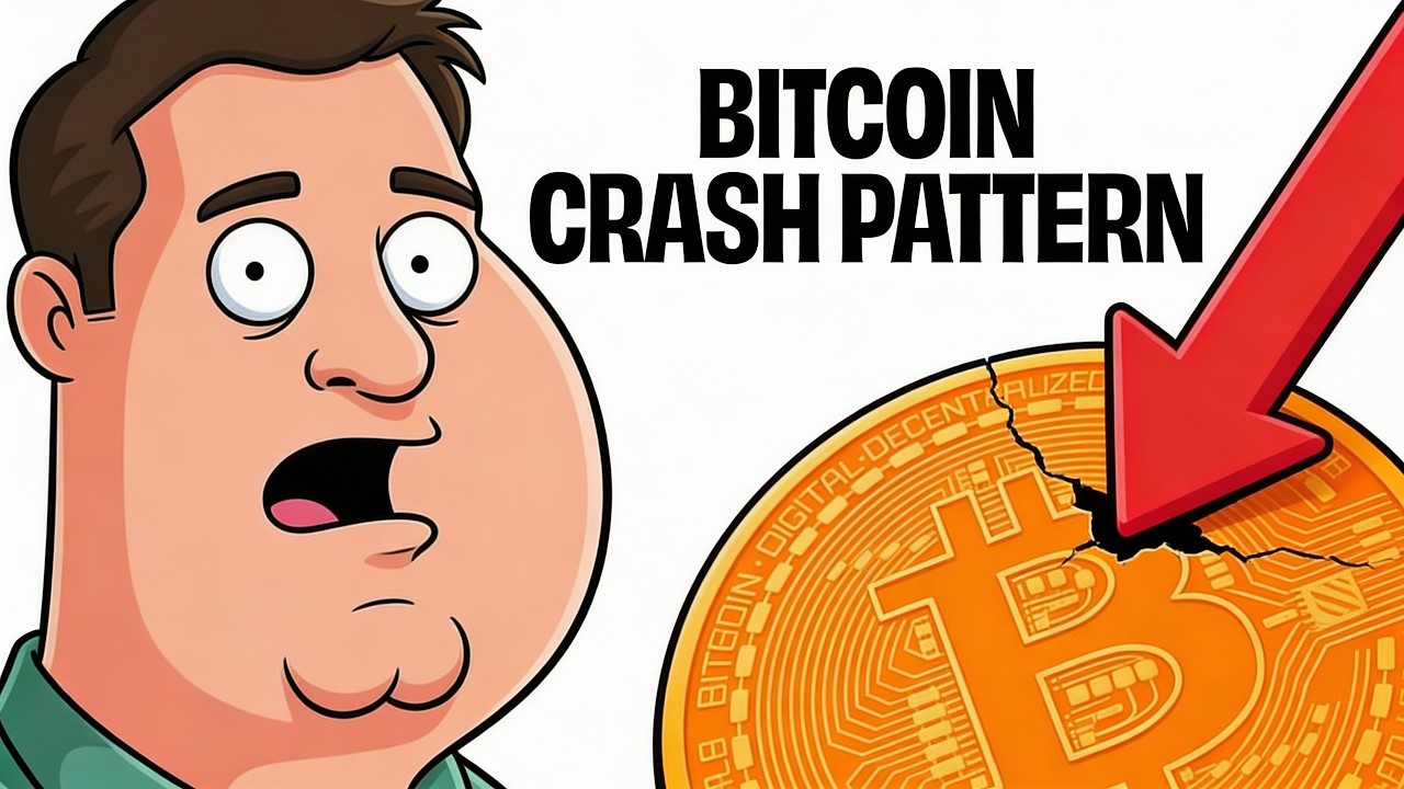 Every Bitcoin Crashes Explained In 22 Minutes