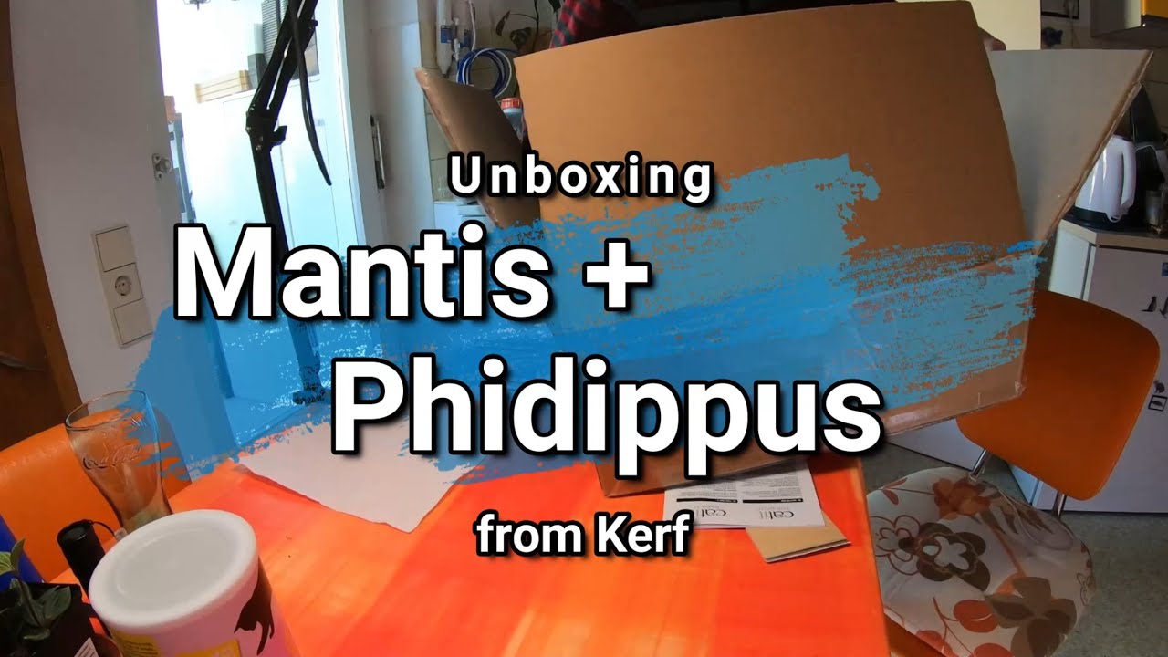 Unboxing Phidippus regius 'Apalachicola' and  Hymenopus coronatus (Orchid Mantis)