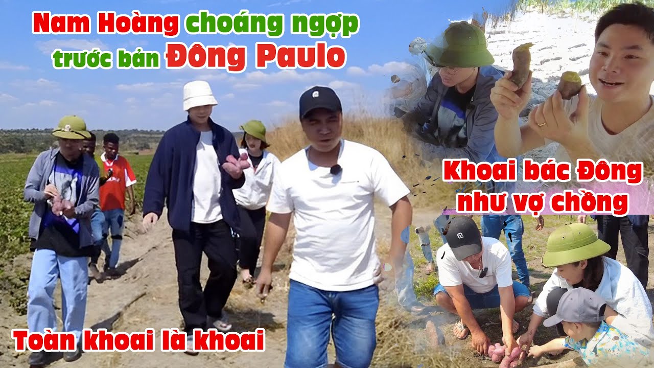Cô Gái Châu Phi || Nam Hoàng  choáng ngợp trước bản của anh Đông Paulo, toàn khoai là khoai.