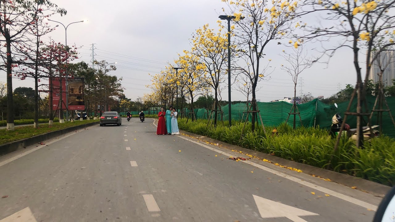 Con Đường Hàng Cây Phong Linh Hà Đông
