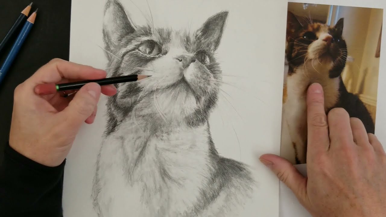 Easy Way- How to Draw Realistic Animal Whiskers