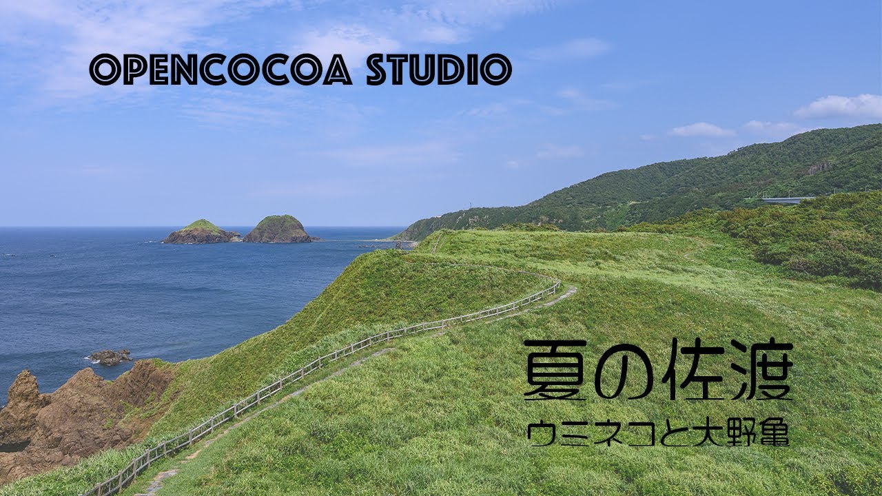 夏の佐渡　ウミネコと大野亀　GoPro HERO10 Nikon Z6 Z50 D4S