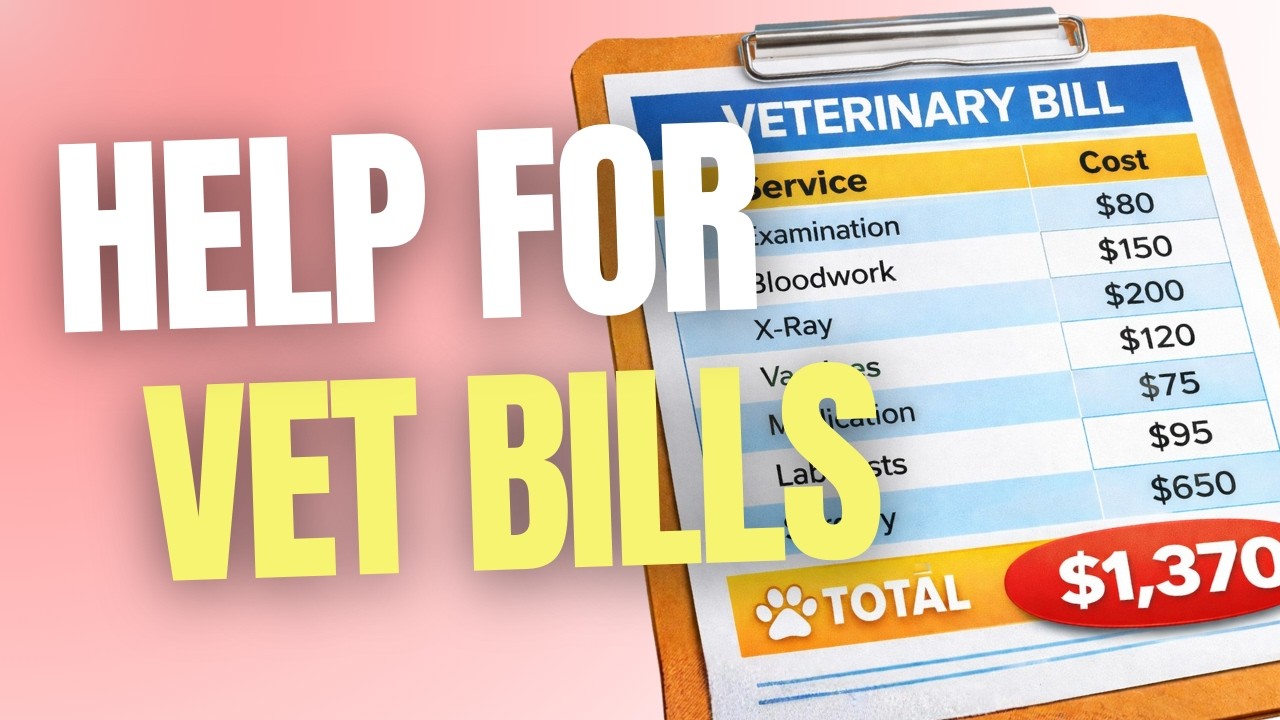 These Organizations Will Pay For Your Veterinary Bills