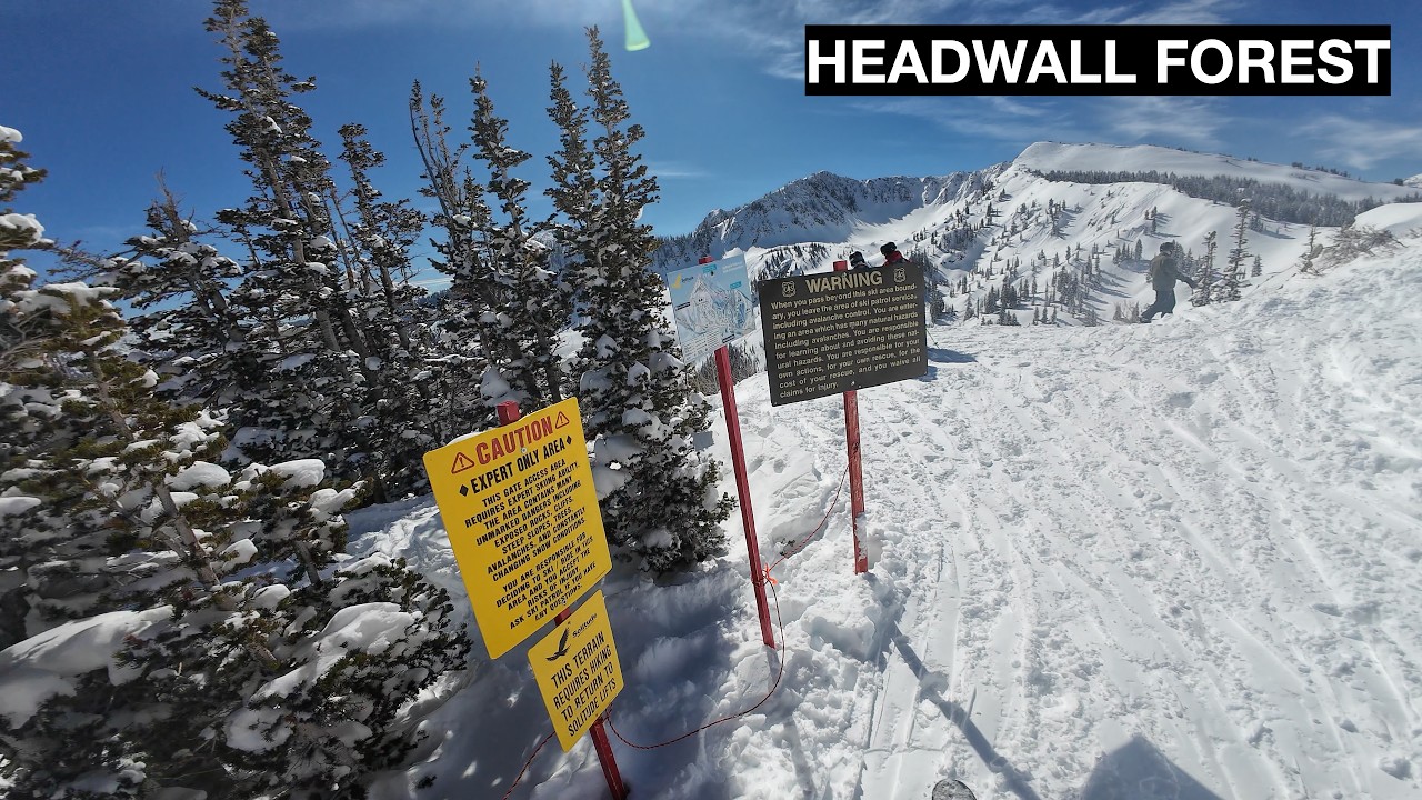 Headwall Forest - Summit Express - Solitude, UT