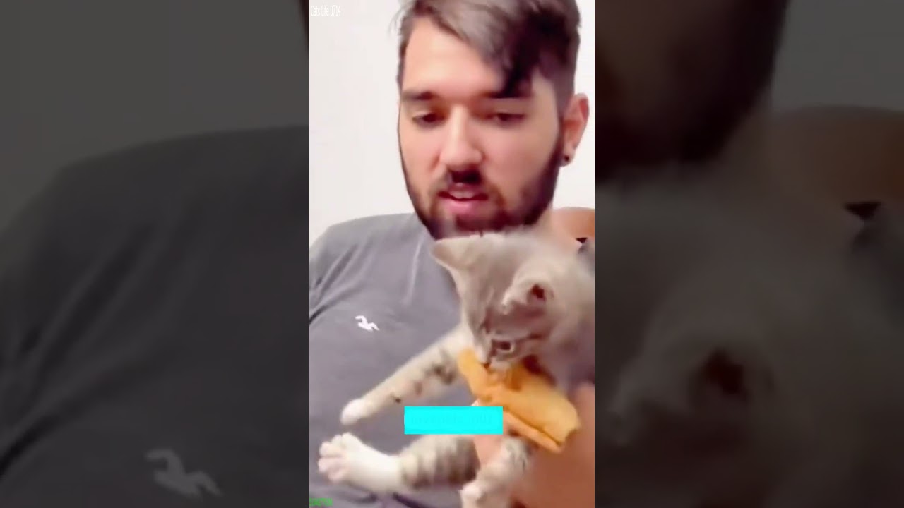 Cute Animals 🐈‍⬛ #fyp 😅 # Ep 1572