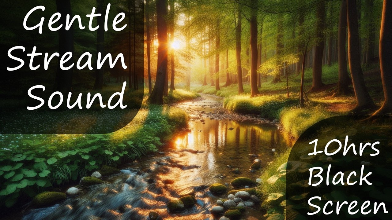 Gentle Stream Sounds Black Screen (10 Hours) 💧 Sleep, Relaxation, Meditation l Ambient Water Sounds